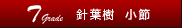 T／針葉樹／小節